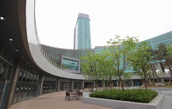 大邱加图立大学,韩国大邱加图立大学