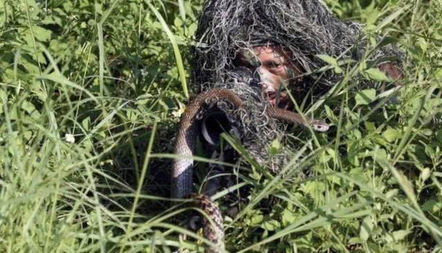 眼镜蛇都发现不了!美军吉利服全线升级,热传感器成睁眼瞎?