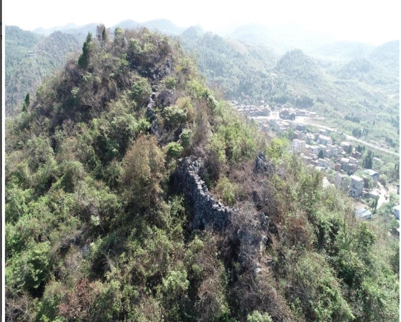 新宁苗族首领杨再兴,苗族起义领袖杨再兴