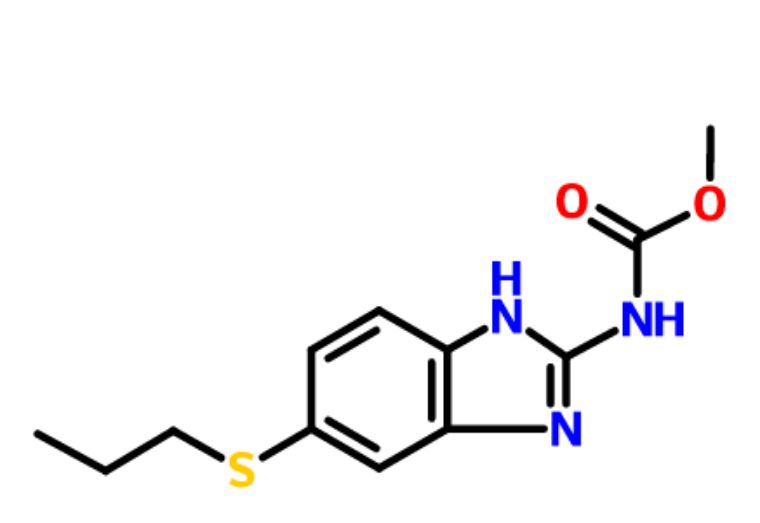 不花一分钱给猫咪驱虫,花最少的钱养狗博美