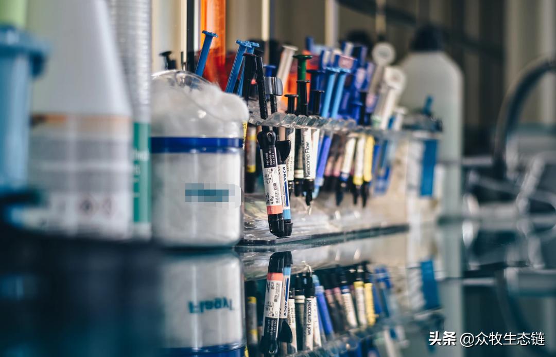 羊羔得了口蹄疫最佳治疗方法,羊得了口蹄疫教你个小妙招