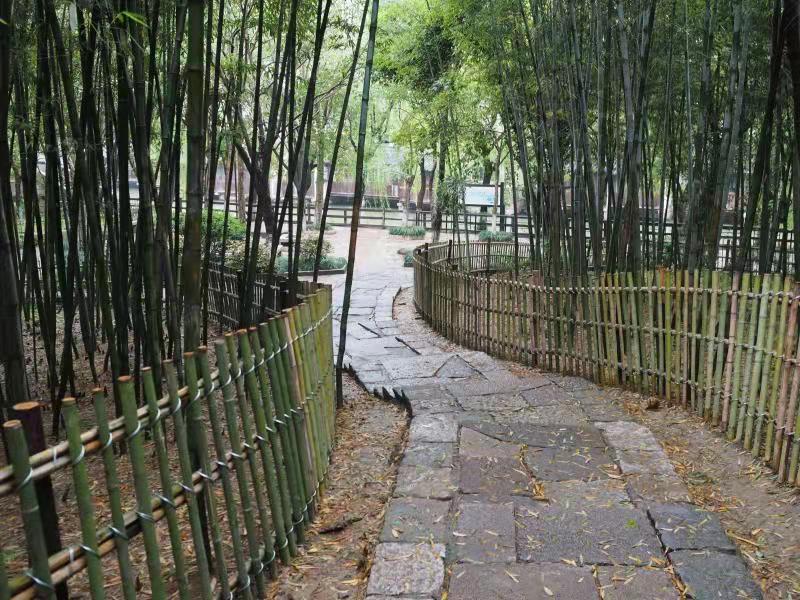 春节乌镇旅游攻略3天2晚,冬季乌镇旅游攻略3天2晚明细