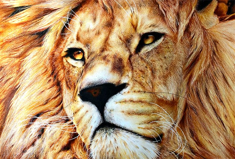 失明女孩铅笔画,手绘眼睛流泪铅笔画