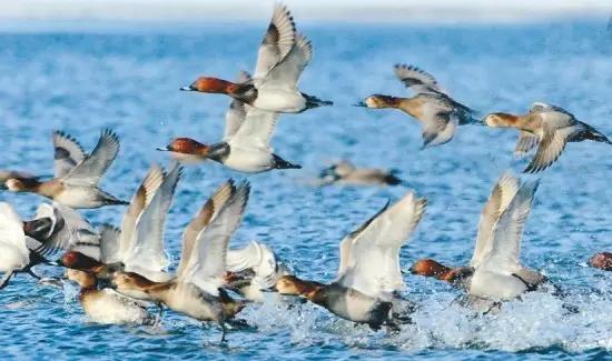 辽宁旅游景点推荐3天自由行,辽宁学生旅游景点推荐