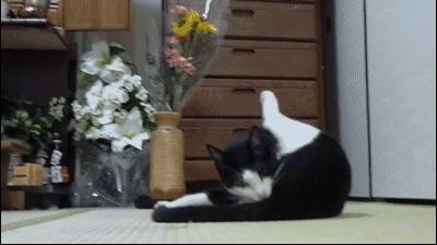 爱我，就给我舔屁股吧