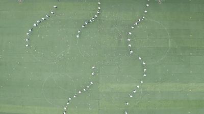 点赞会动的图片,会动的点赞图