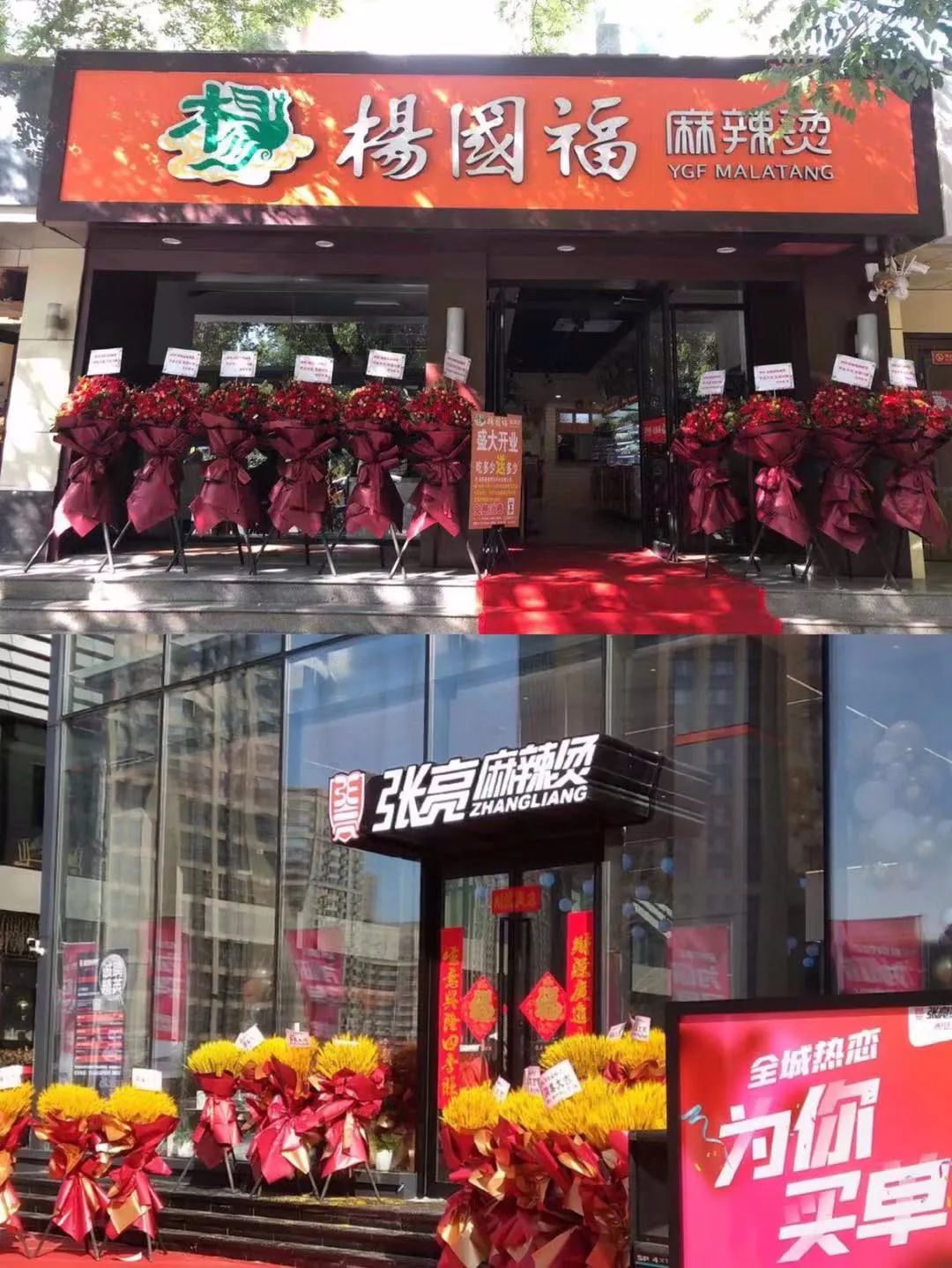 哈尔滨饭店打架真实视频,最新哈尔滨饭馆打架视频