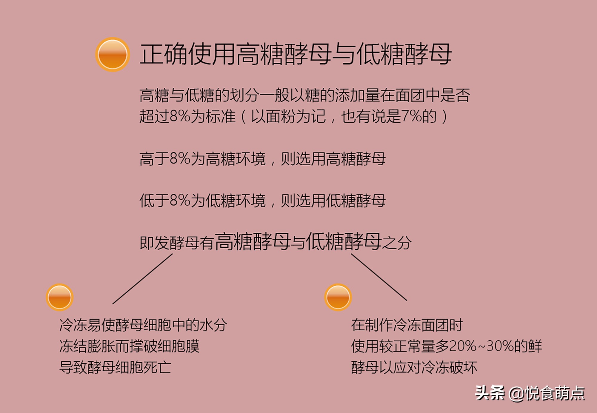 怎样知道酵母是有效的,原来有这么多种酵母你都了解了吗