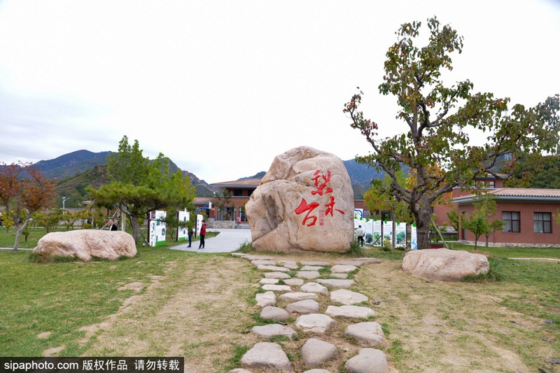 五一一日游天津旅游景点推荐,五一出游推荐旅游景点天津