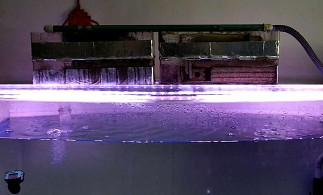 观赏鱼生化棉怎么用,生化棉代替生化滤材