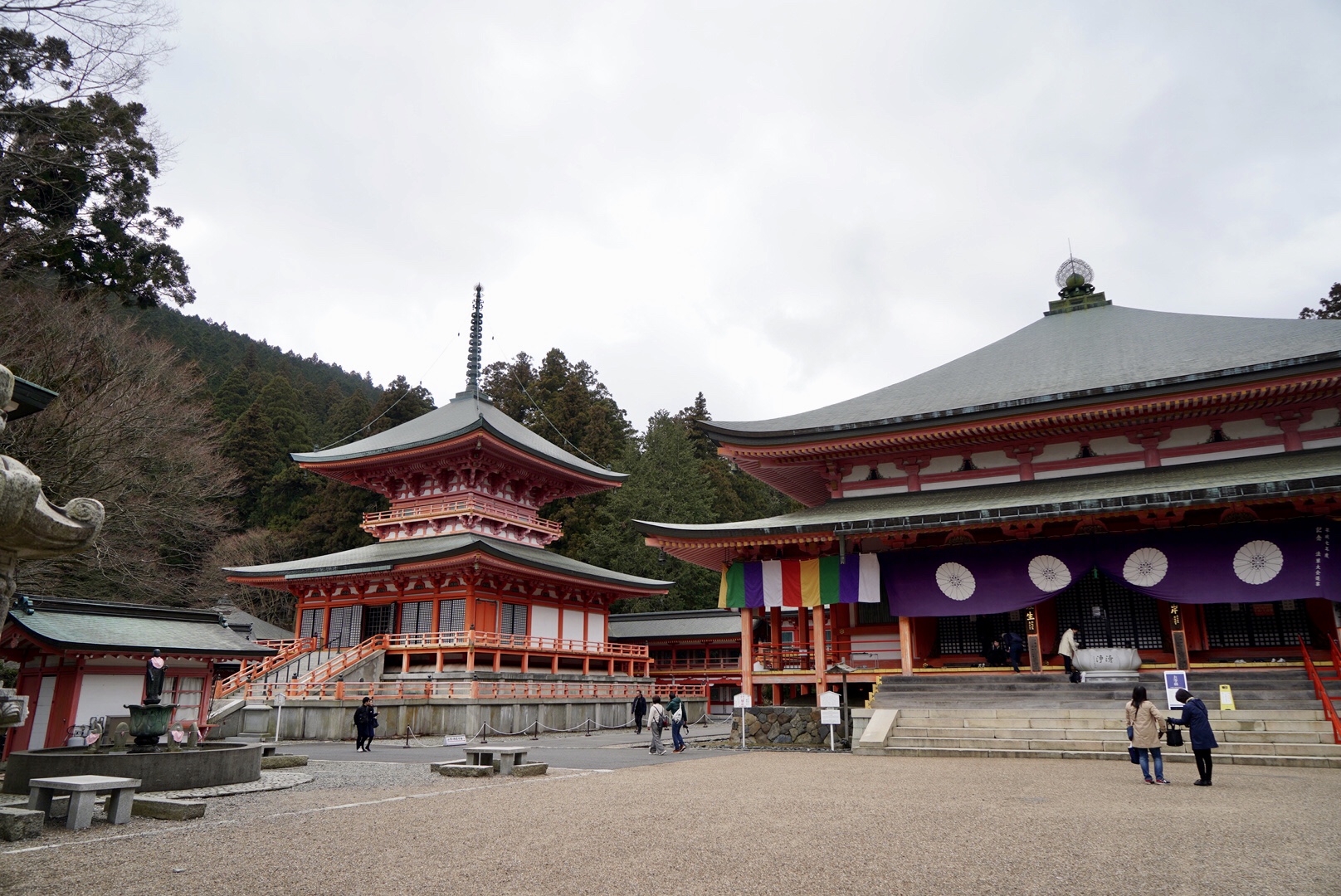 2019日本赏樱最新攻略|大津小众路线私家推荐