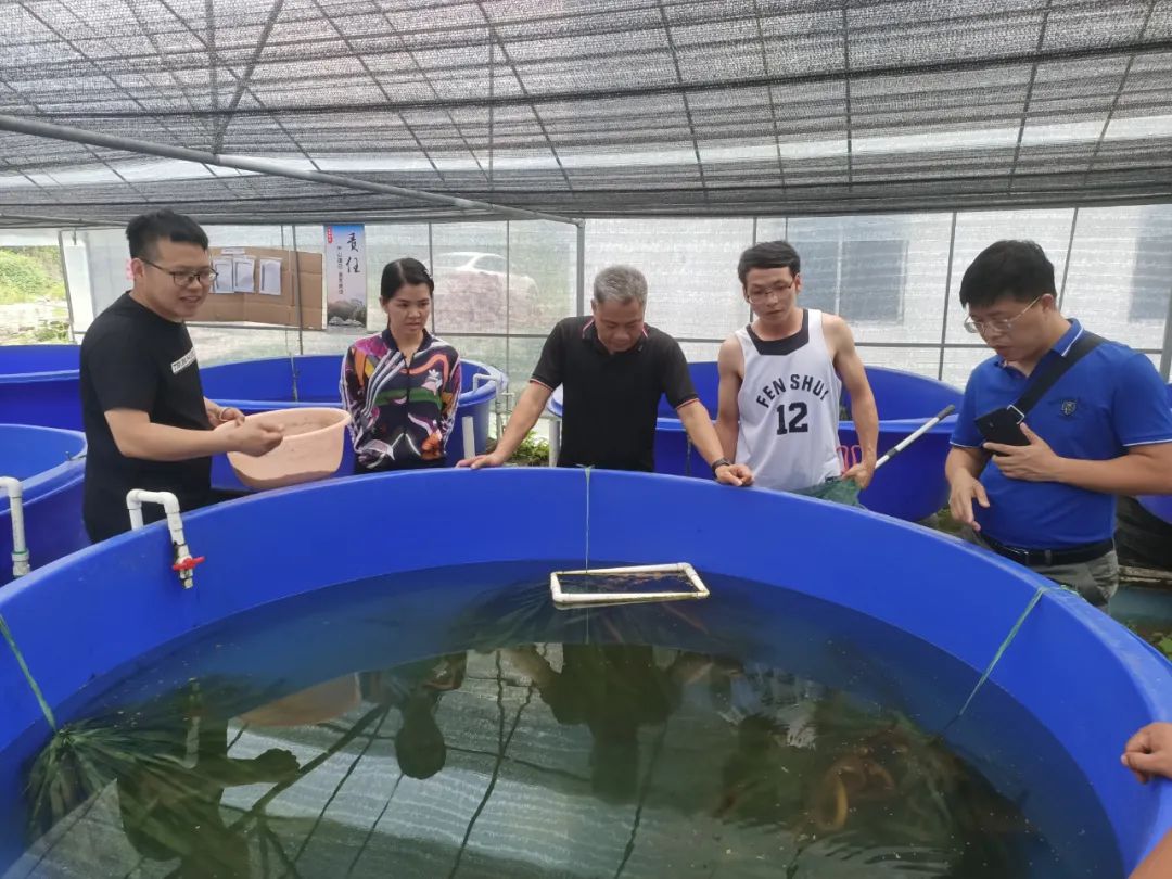 生态渔业创新新模式,广西水产养殖技术推广资讯平台