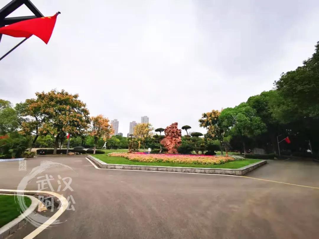 华丽转身！全面开挂！2020年这个区域涅槃重生！走上人生巅峰