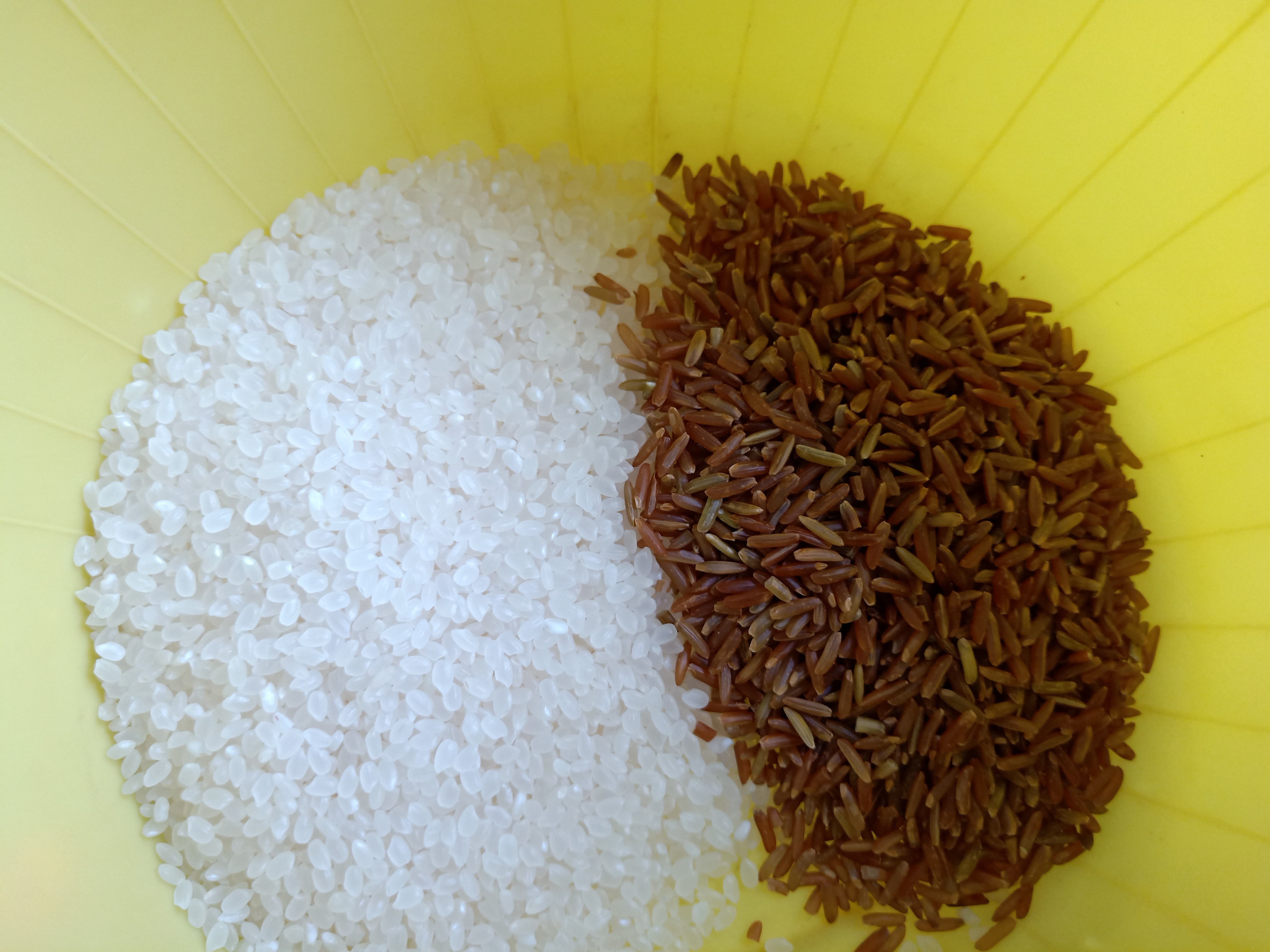 最近特别馋总想吃东西,最近特别馋总想吃零食