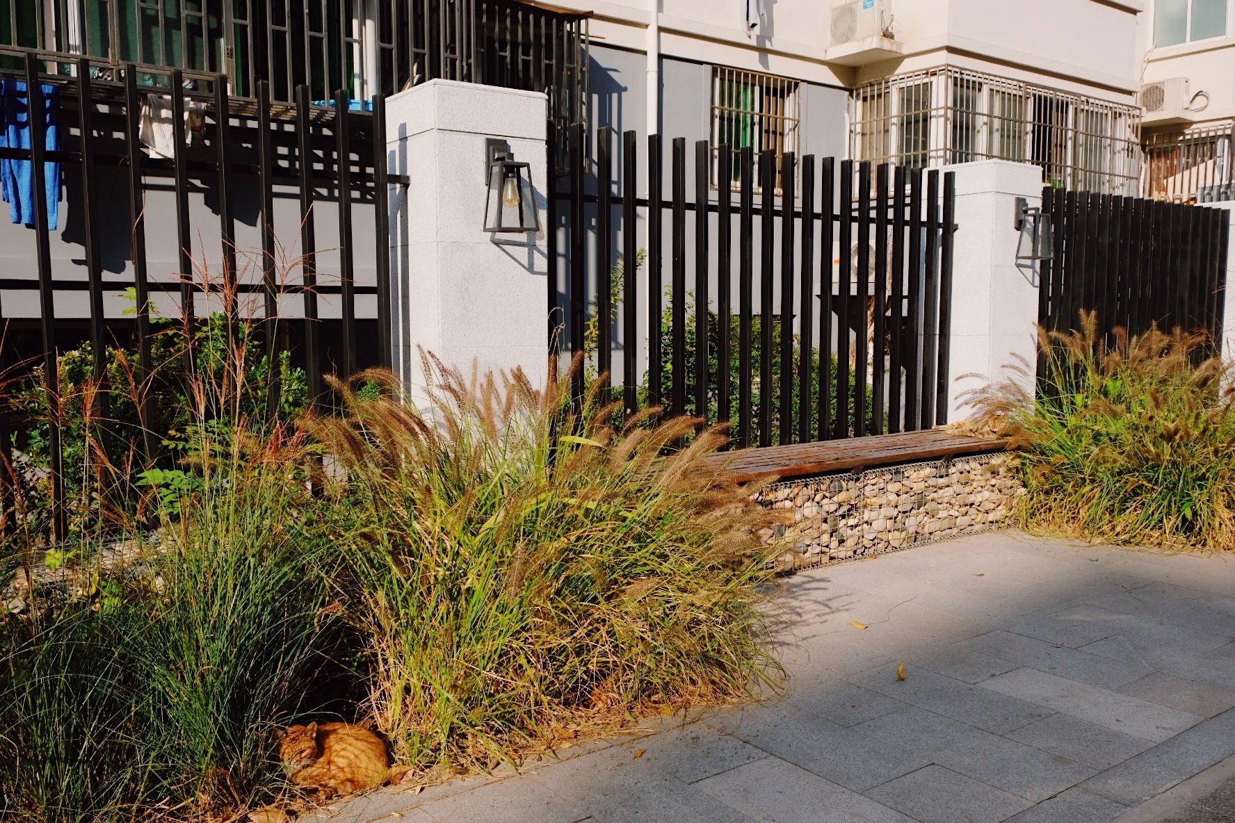 变美、变慢、变温柔,彭浦镇25条街集体宜人化是怎么做到的