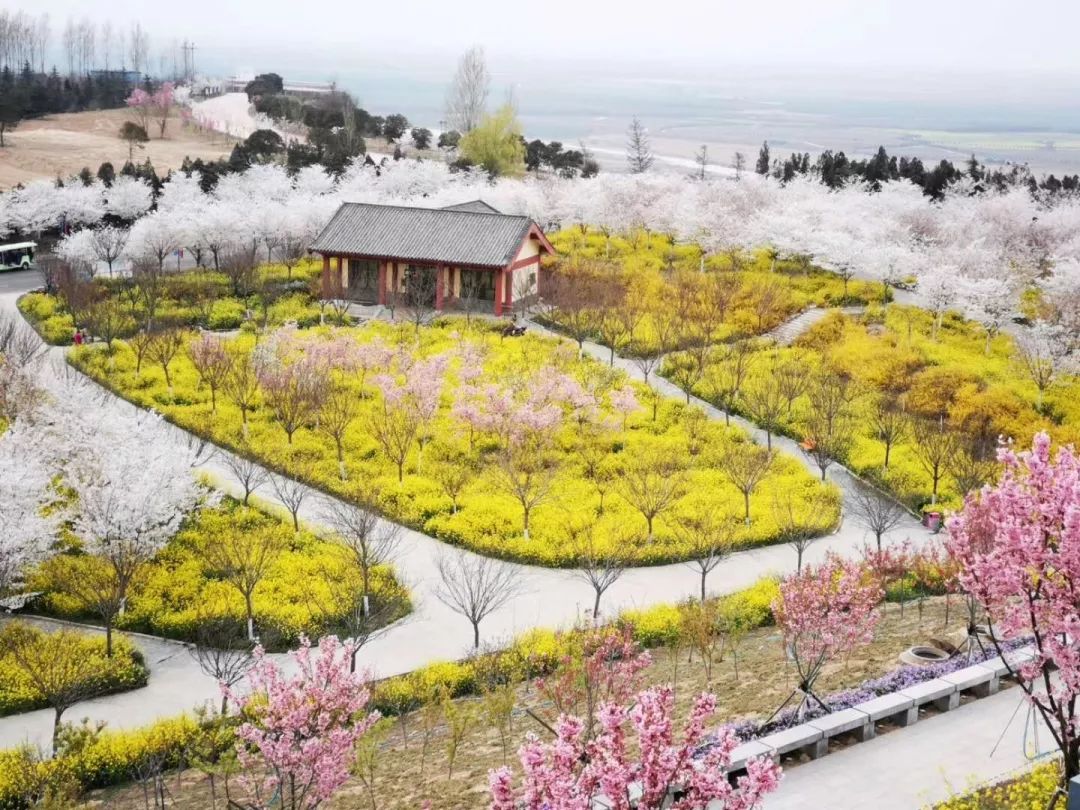 看看郑州的博物馆,郑州博物馆旅游