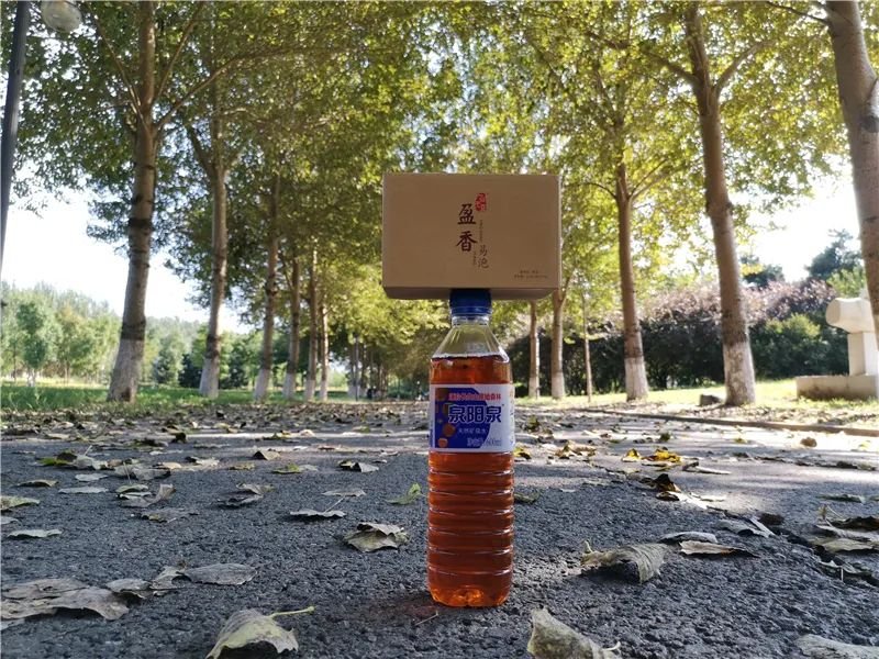 一任天真盈香易泡:冷泡,闷泡,淋泡轮番上阵怎么泡都好喝