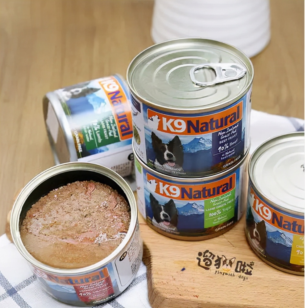 最适合异短加菲猫吃的食物,猫咪零食冻干推荐