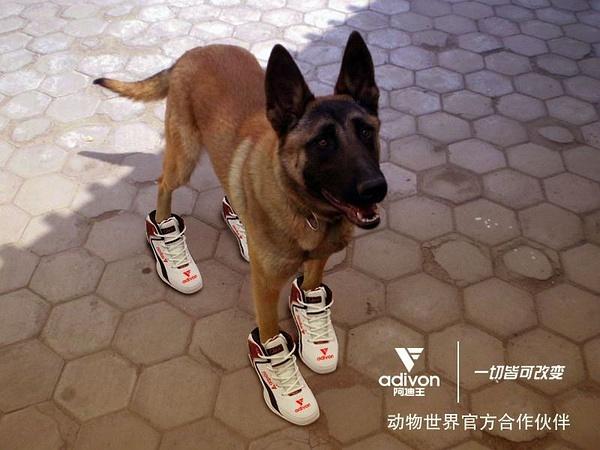 你还记得当年的阿卑罗王吗,曾经的阿迪王