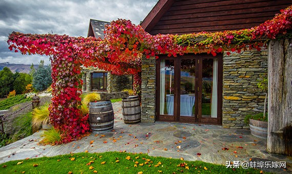 小预算婚礼可以做什么效果,小预算户外婚礼