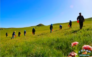 狼毒的最佳解毒方法,狼毒怎么治疗