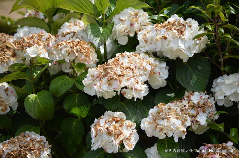 第9回：繁华都市冰冷大厦，共产庄园无法企及