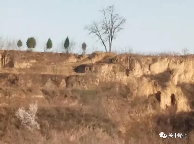 盂县续修张氏族谱,豫西张氏家族族谱