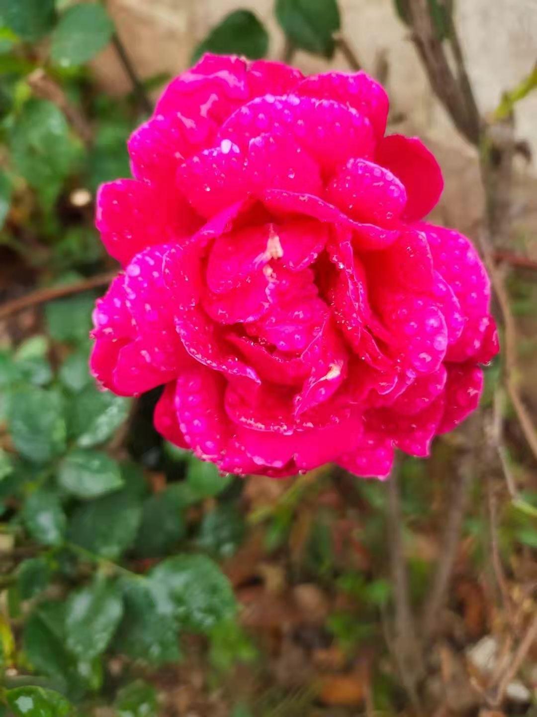 习惯养成三字口诀,习惯养成的三大要素