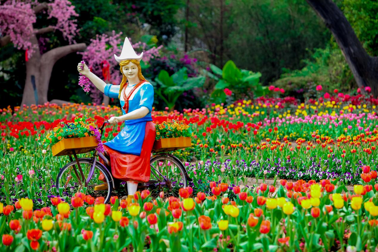 到广州•来从化：花城看花，花在从化——从化五朵金花邀您过大年