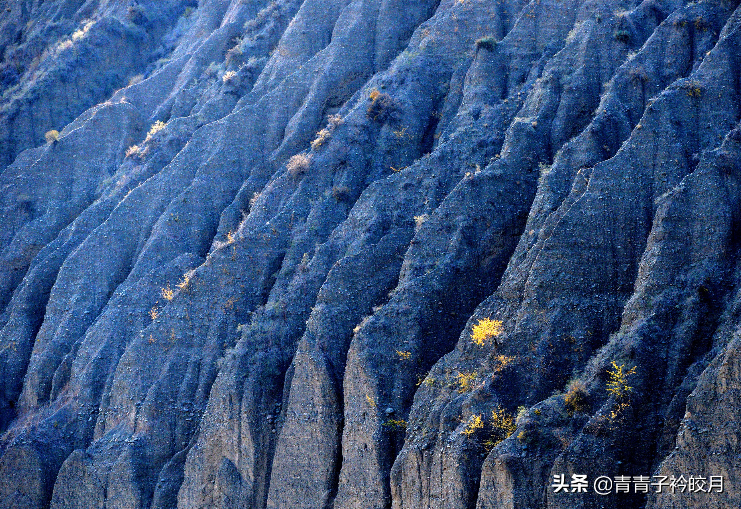 新疆的十大峡谷景点排名,新疆值得玩的大峡谷