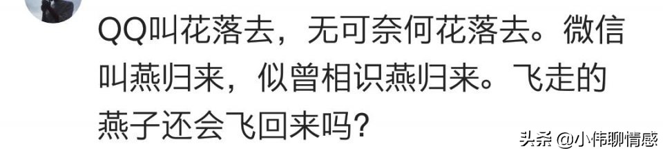 你的网名寓意什么,你的网名寓意是什么