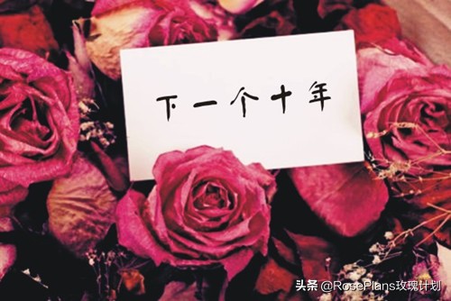 给女朋友送花送什么花最好,给女朋友生日送花送什么花