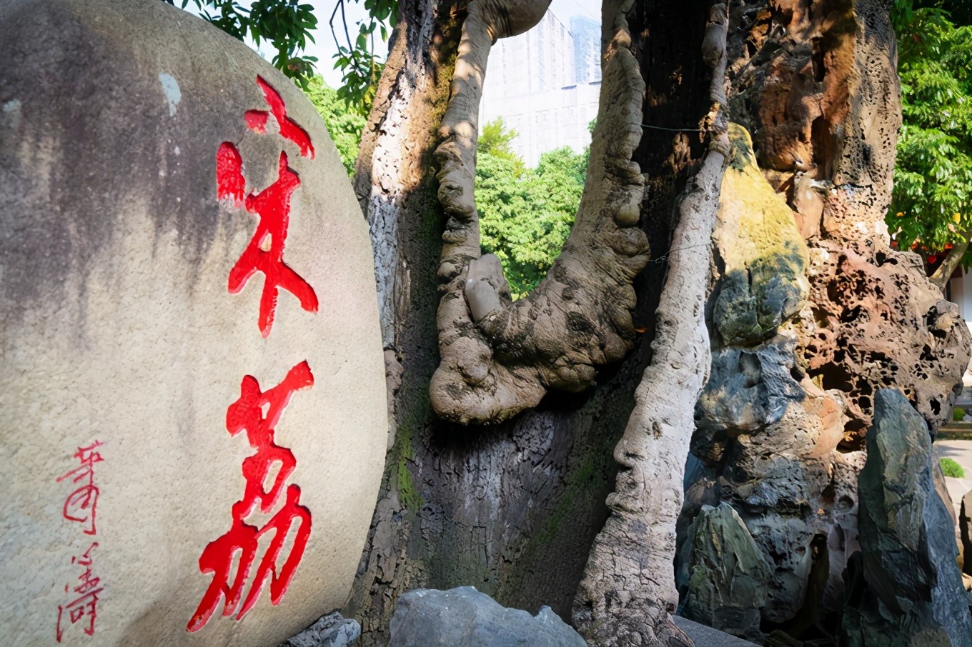 福州7日游的最佳攻略,福州一日游最佳方案旅游攻略