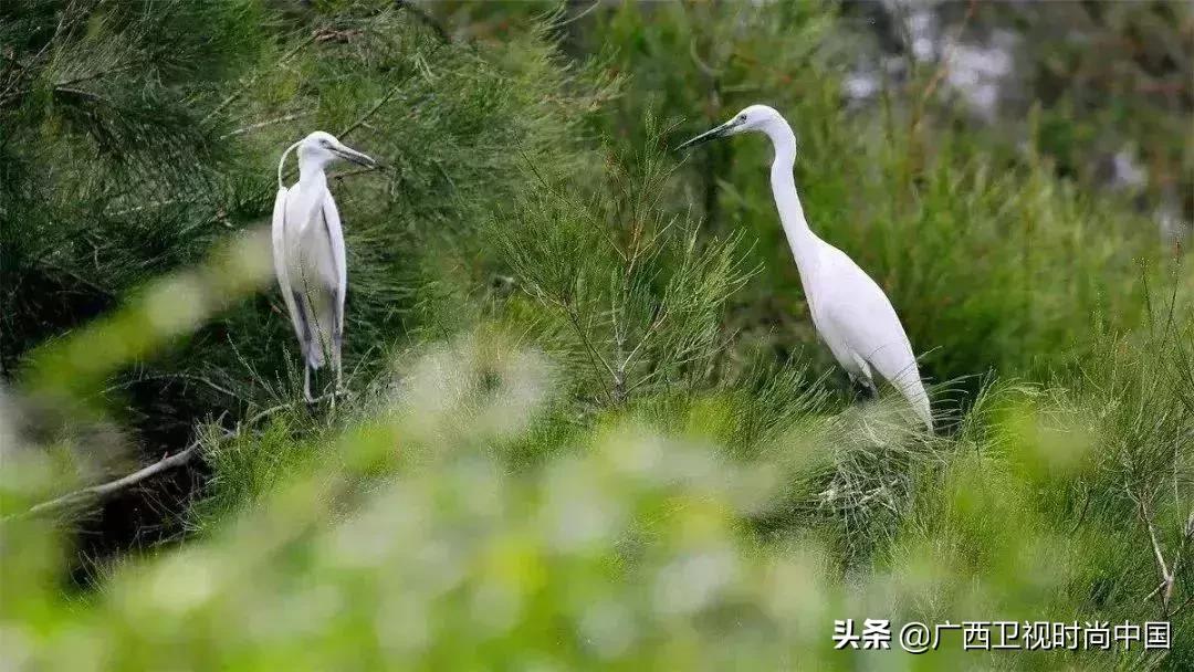 中国国际时装周石狮,石狮时装周展会