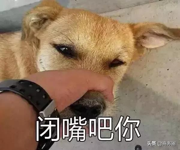 育儿热词2018,十大育儿热词汇