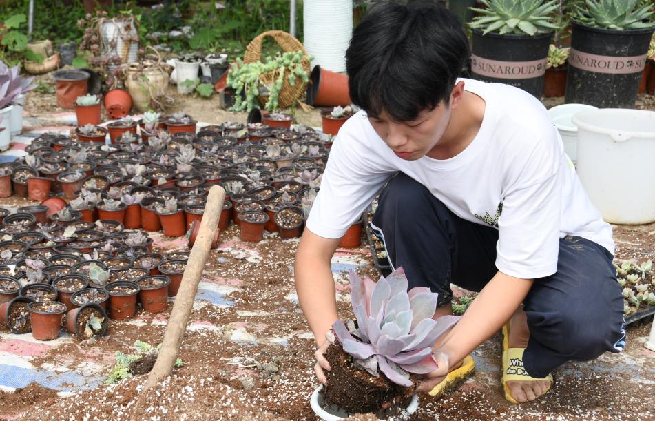 成都新都区军屯镇郭家村,成都新都军屯郭家村