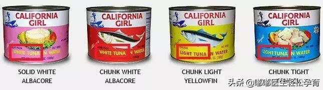 小孩补脑最好的6种鱼,最补脑的鱼排名第一是什么鱼