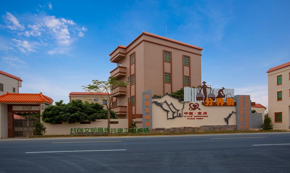 高州分界乡村振兴捐款,高州市分界镇乡贤大会