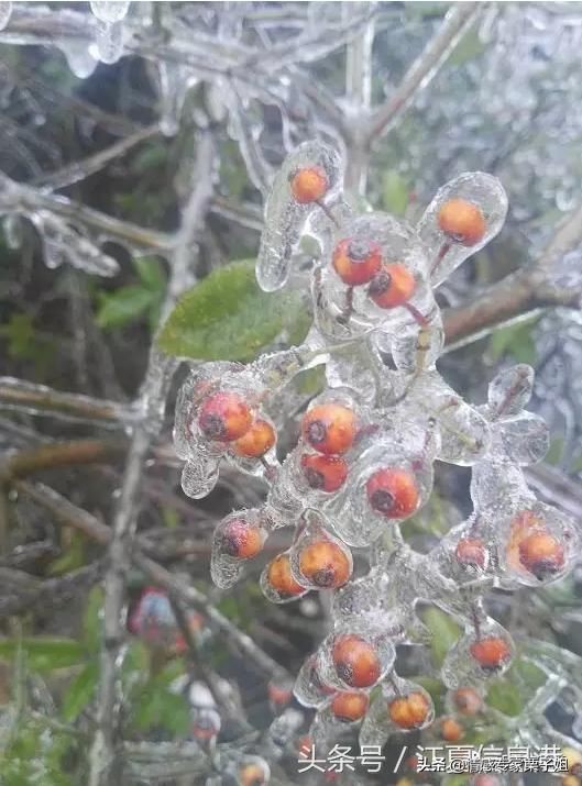 一心装着前女友的男人,最好不要嫁