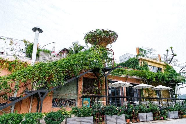 深圳夜晚小众打卡地景点,深圳十个小众打卡地