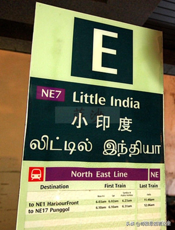 狮城奇葩事件视频,狮城奇案之罪案现场2