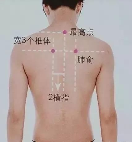 简单有效的养肺法,全民养肺刻不容缓养肺妙招送给你