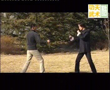 经典武术格斗技巧,各种武术格斗技巧