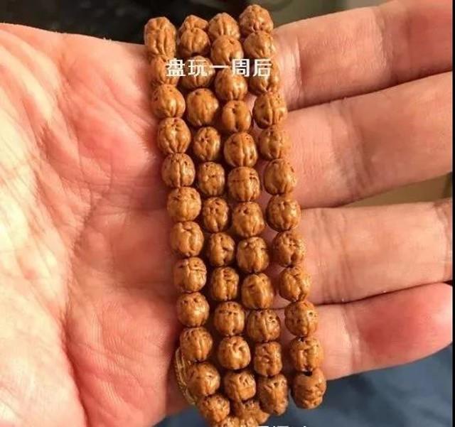 佛手小金刚三日红入手后如何盘玩,佛手小金刚天盘红