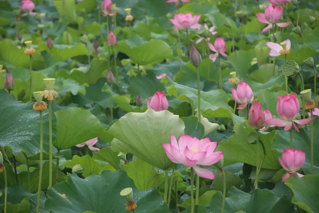 重岩叠嶂的峰峦,重岩叠嶂的山峰
