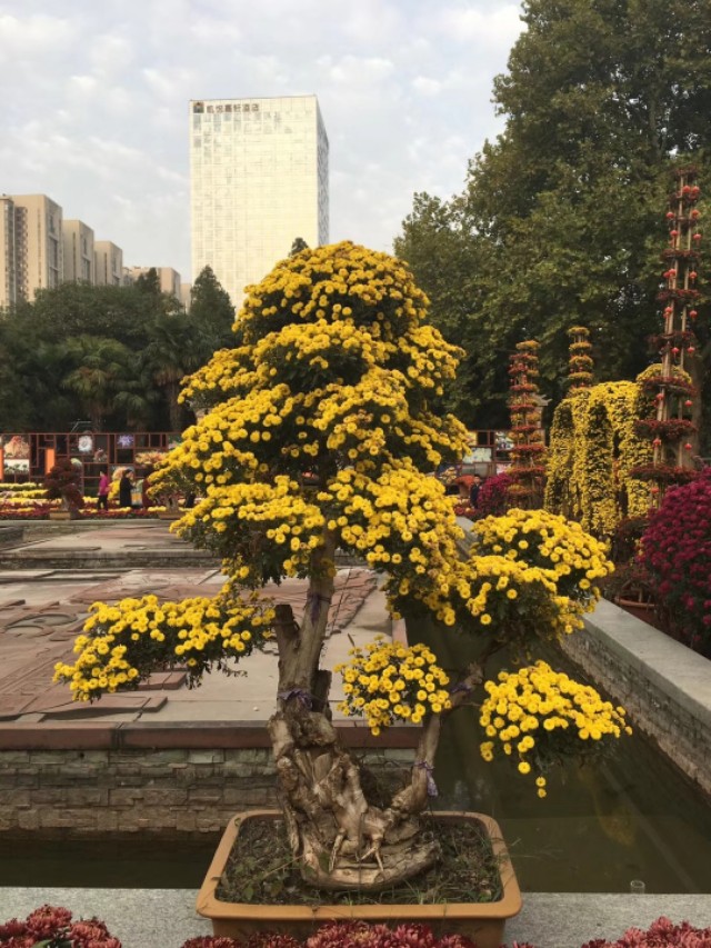 感恩节小班活动视频完整版,幼儿园小班感恩节护蛋活动教案