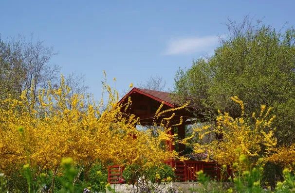 北京戒台寺郊野公园,北京燕山东岭郊野公园