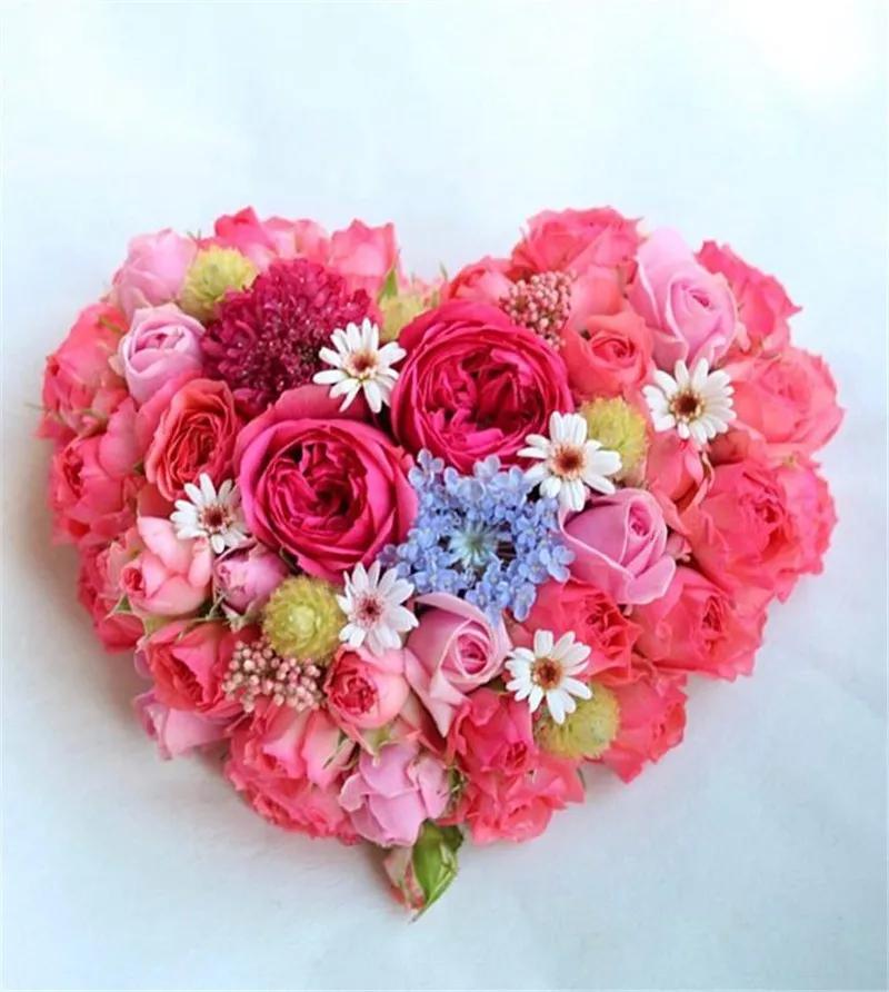 2019真实鲜花图片,2023鲜花爆款图文