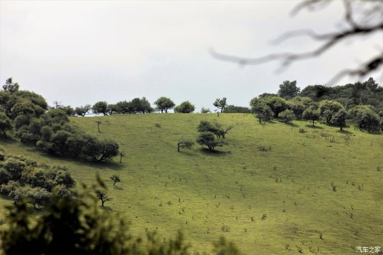 难忘的草原简谱完整版,难忘的草原女声完整版