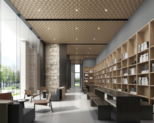 上海市金山新城学区,新建区新民学校图片